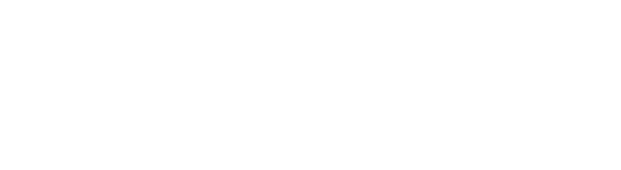 dry ice finland logo